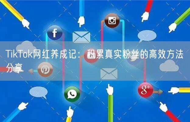 TikTok网红养成记：积累真实粉丝的高效方法分享