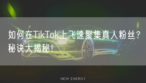 如何在TikTok上飞速聚集真人粉丝？秘诀大揭秘！