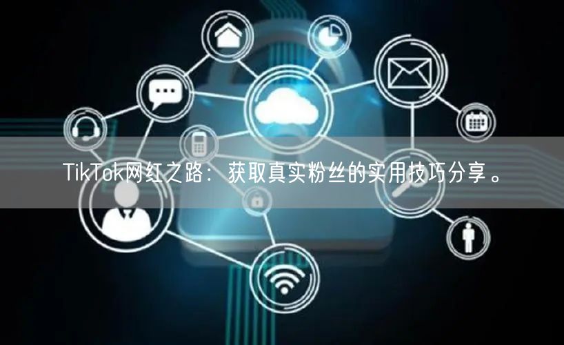 TikTok网红之路：获取真实粉丝的实用技巧分享。